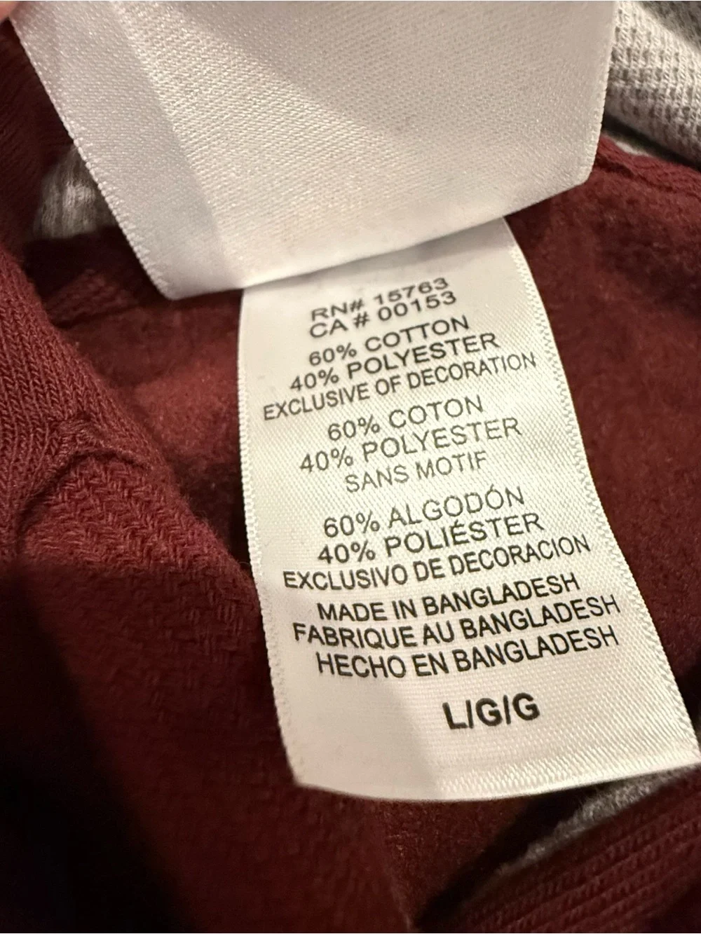 Champion hoodie texas